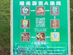 -太湖龙之梦