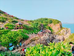-杨梅坑
