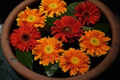 -琦品高端美容SPA私佳美场