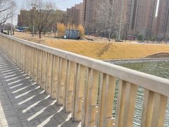-东坝千亩湖公园