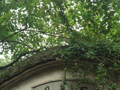 -绍兴鲁迅故里·沈园景区