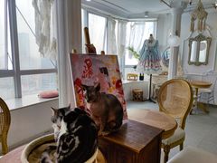-共舞时光猫咖·狗咖(新街口店)