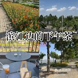 滨江边的下午茶时光