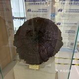 你有木鱼吗？我有木鱼枪！