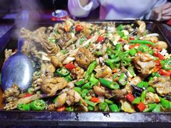 -蛙来哒(万豪城市广场黑金冠店)
