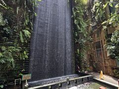 -棕榈泉国际高尔夫学院