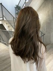 -Y-STUDIO原理