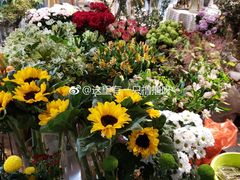 -泉乐坊步行街(烟酒特产平价超市店)