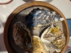 -杨氏青龙虾·羊蝎子(托乐嘉店)