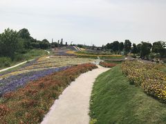 -南通洲际绿博园