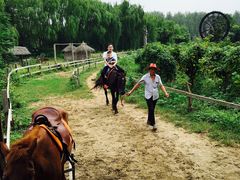 -溱湖国家湿地公园