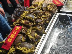 -湛江渔港·大排档(乐园路总店)