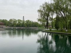 -百脉泉景区
