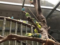 -正佳雨林生态植物园