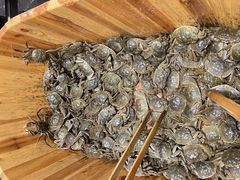 -初色海鲜自助(万丰路店)