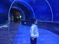 -多彩贵州城极地海洋世界