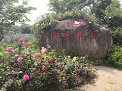 -鹅湖玫瑰文化园