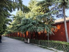 -洛阳白马寺