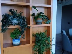 -秋语木桶鱼.酸菜鱼(开发区火车站店)