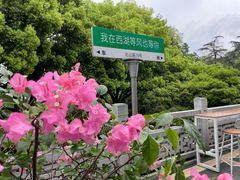 -杭州香格里拉饭店