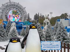 -汕头中海黄金海岸水上乐园