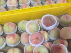 -老袁家蜜桃农场·阳山水蜜桃