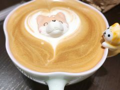 逗柴特调咖啡-逗柴咖啡屋·狗咖猫咖宠物桌游