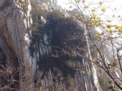iphone_upload_pic-少林寺景区