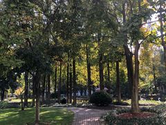 -中共上海市委党校 上海行政学院