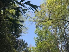 -白云山风景名胜区