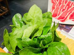-南门四季铜锅涮肉(左家庄店)