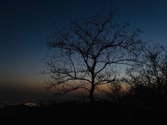 -鬼笑石后山停车场