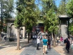 -少林寺欢喜地素斋馆