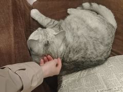 -隅cafe(傅厚岗店)