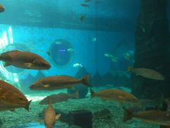 -北戴河圣蓝海洋公园