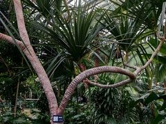 -北京植物园-展览温室