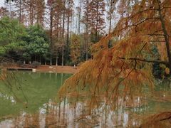 -洪湖悦兮半岛国际温泉度假村