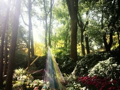 -共青国家森林公园-售票处