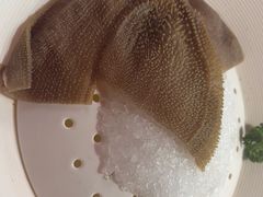 -大渝火锅(苏州西城永捷店)