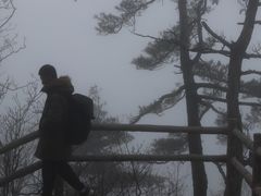 -牛背梁国家森林公园