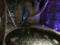 -御泉湾养生汤泉