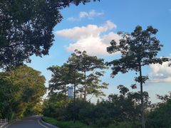 -广州市白云山风景名胜区