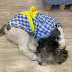 -沐蕙日式美甲美睫皮肤管理