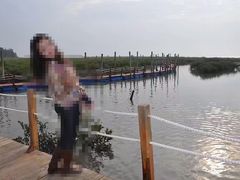 -北海金海湾红树林生态旅游区