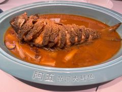 -阿五黄河大鲤鱼(英协路店)