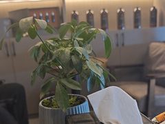 -鹿栖.精油SPA(金山世纪城店)