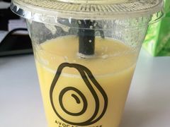 -油梨树 AVOCADO TREE(亮马桥店)