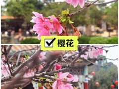 -宝墨园景区