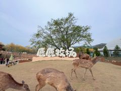 -盈香心动乐园