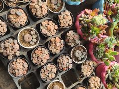 -包头市畅兴现代农业园